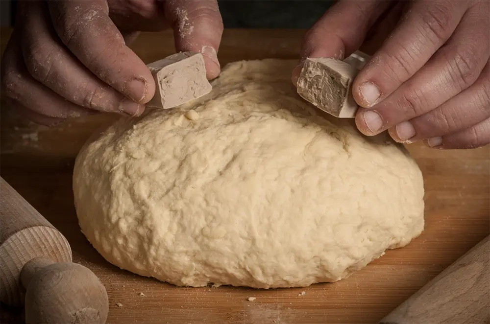 lievitazione naturale